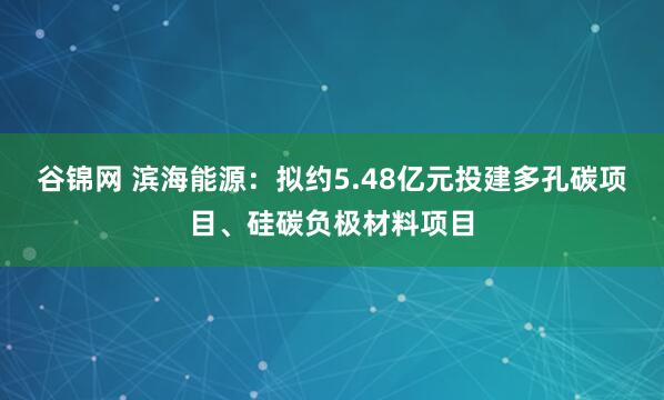 谷锦网 滨海能源：拟约5.48亿元投建多孔碳项目、硅碳负极材料项目