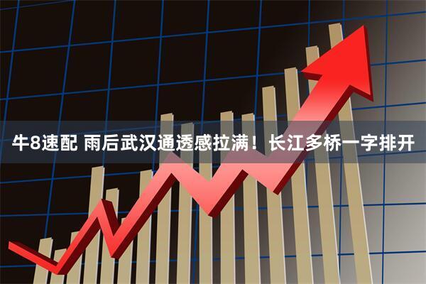 牛8速配 雨后武汉通透感拉满！长江多桥一字排开