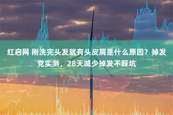 红启网 刚洗完头发就有头皮屑是什么原因？掉发党实测，28天减少掉发不踩坑